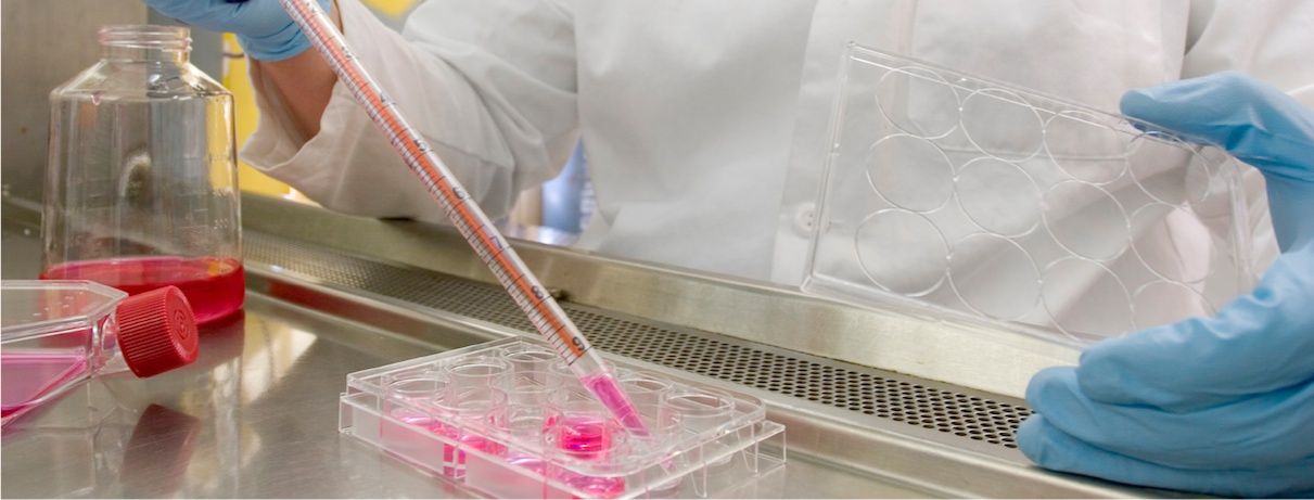 Stem Cells Consulting | Accurate actionable analysis
